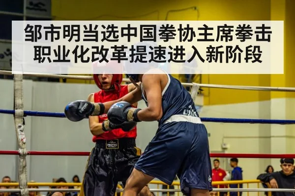 邹市明当选中国拳协主席拳击职业化改革提速进入新阶段