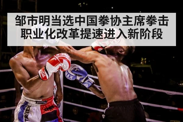 boxer training gloves