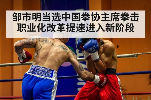 professional boxing match